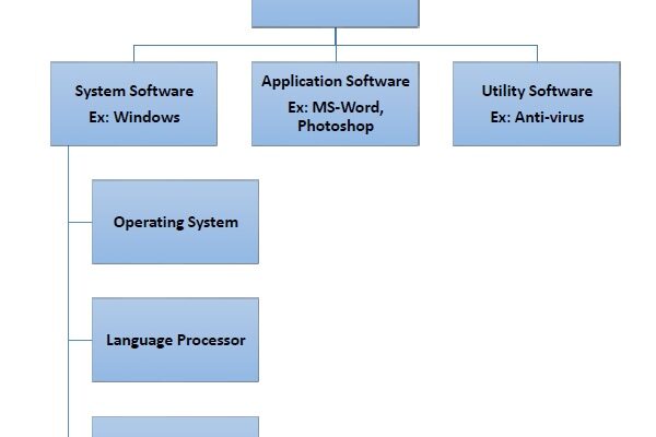 Introduction to Software: Basics and Importance